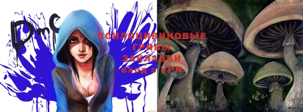 спайс Абинск